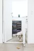 DogSpace Lassie nyomás rögzítő kapu rács kutyáknak 73-80cm - fehér