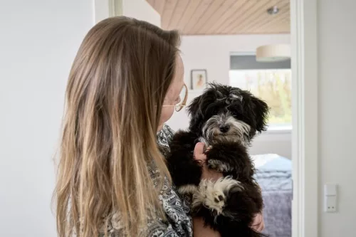 DogSpace Lassie nyomás rögzítő kapu rács kutyáknak 73-80cm - fehér