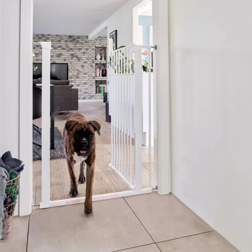 DogSpace Bonie extra magas kutya korlát 105 cm fém - fehér