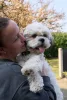 DogSpace Lucky toldalék kapu - metál fehér