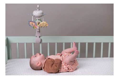 Taf Toys zenélő-forgó mini Szavanna 13285