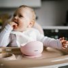 BabyOno tálka szilikon tapadó aljú - rózsaszín 1481/02