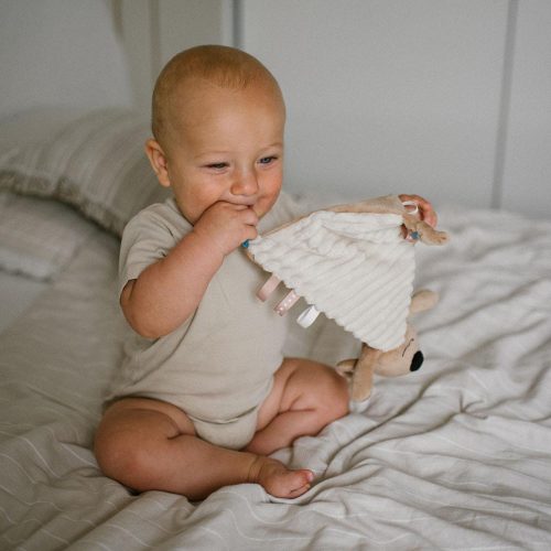 BabyOno plüss szundikendő - Charlie koala 1559