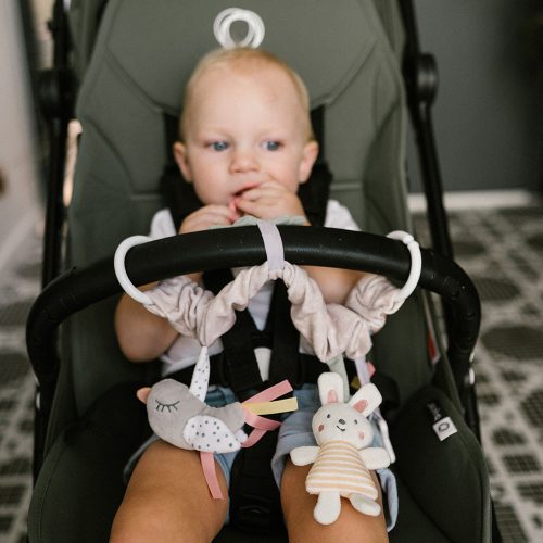 BabyOno babakocsijáték - Nature 1578