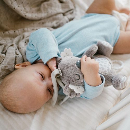 BabyOno felhúzós-zenélő játék - Koala Coco 1632