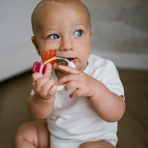 BabyOno Csörgő és rágóka karika - gyümölcsök 1594