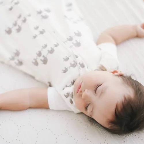 Ergobaby hálózsák Elefánt 0-6/S TOG 2,5
