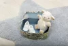Cloud b Sleeping Sheep alvást segítő zenélő plüss bárány, hordozható