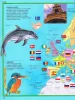 Képes atlasz gyermekeknek - Állatok a világban