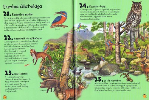 101 dolog, amit jó, ha tudsz az állatokról