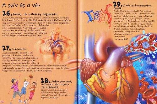 101 dolog, amit jó, ha tudsz az emberi testről