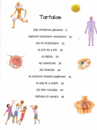 101 dolog, amit jó, ha tudsz az emberi testről
