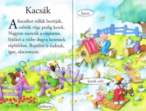 Olvass velünk! (1) - Ismerd meg a tanya állatait!