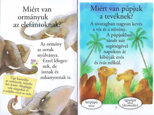 Olvass velünk! (1) - Kérdések az állatokról