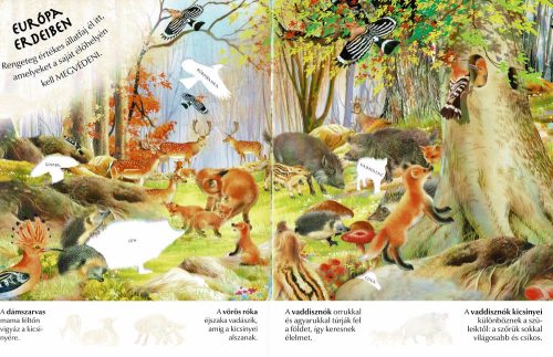 Milyen érdekes a világ... Állatkölykök