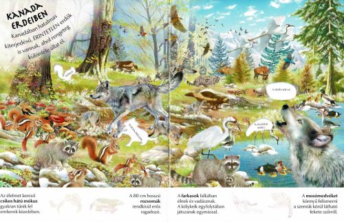 Milyen érdekes a világ... Állatkölykök