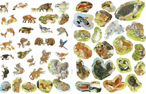 Milyen érdekes a világ... Állatkölykök