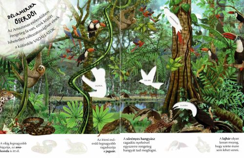 Milyen érdekes a világ... Vadállatok