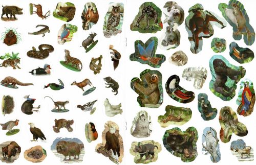 Milyen érdekes a világ... Vadállatok