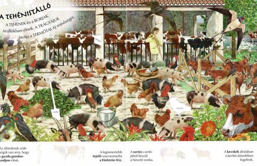 Milyen érdekes a világ... A tanya állatai