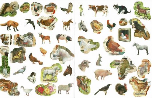 Milyen érdekes a világ... A tanya állatai