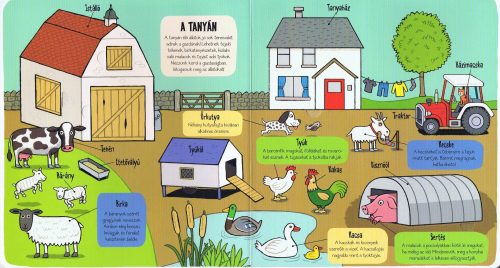 Kis felfedezők - Minden, ami állat