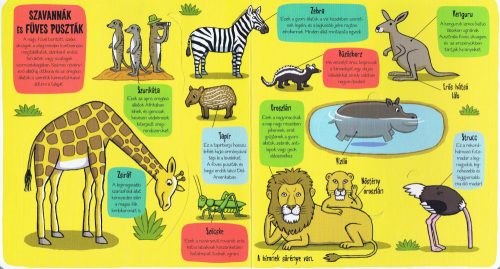 Kis felfedezők - Minden, ami állat