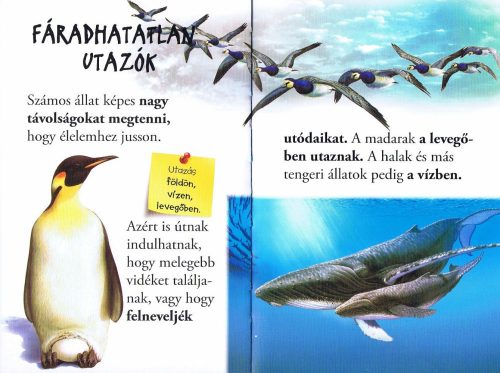 Olvass velünk! (1) - Vándorló állatok