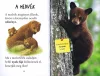 Olvass velünk! (1) - A medvék világa
