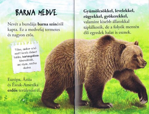 Olvass velünk! (1) - A medvék világa