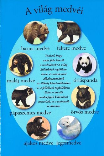 Olvass velünk! (1) - A medvék világa