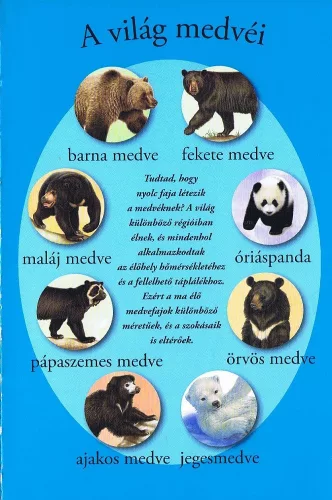Olvass velünk! (1) - A medvék világa