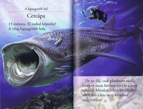 Olvass velünk! (2) - A cápák világa