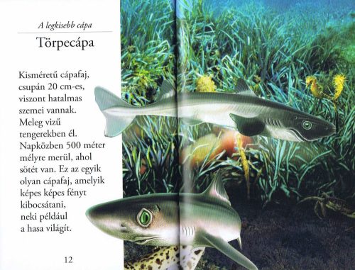 Olvass velünk! (2) - A cápák világa