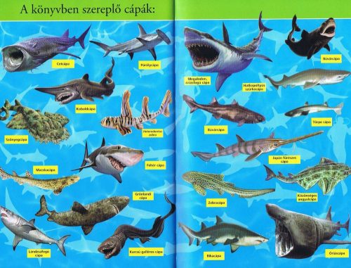 Olvass velünk! (2) - A cápák világa