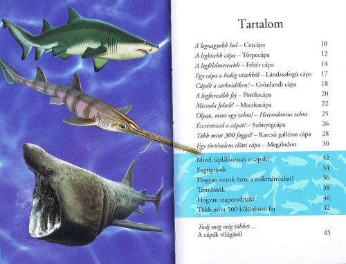 Olvass velünk! (2) - A cápák világa