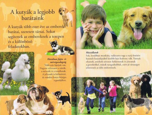 Olvass velünk! (2) - Barátunk, a kutya