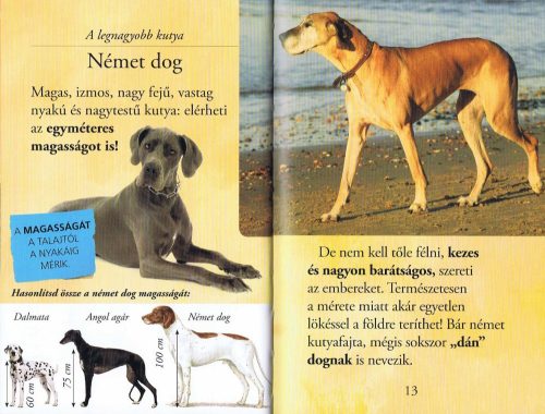 Olvass velünk! (2) - Barátunk, a kutya