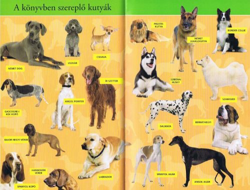 Olvass velünk! (2) - Barátunk, a kutya