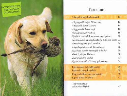 Olvass velünk! (2) - Barátunk, a kutya