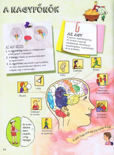 Szórakoztató tudomány - Az emberi test csodája