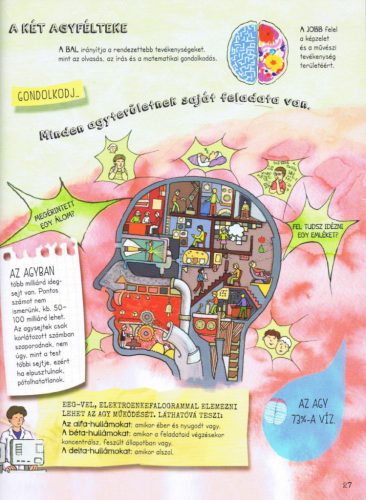 Szórakoztató tudomány - Az emberi test csodája