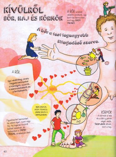 Szórakoztató tudomány - Az emberi test csodája