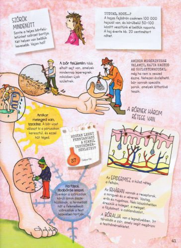 Szórakoztató tudomány - Az emberi test csodája