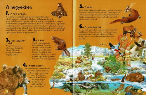 101 dolog, amit jó, ha tudsz a vízi élőhelyek állatairól