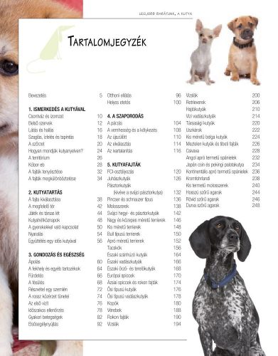 Legjobb barátunk, a kutya