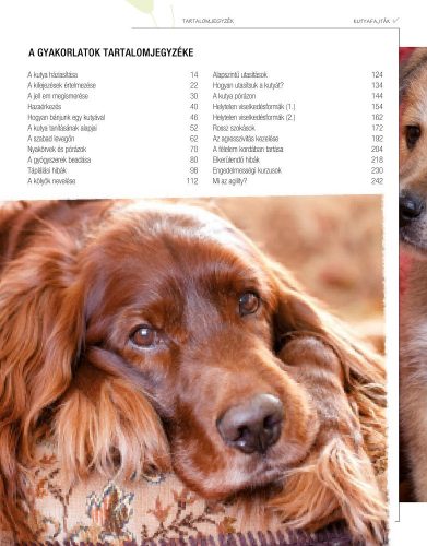 Legjobb barátunk, a kutya