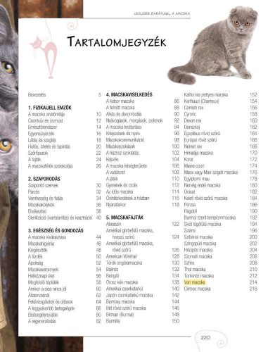 Legjobb barátunk, a macska