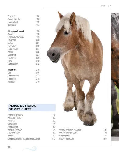 Legjobb barátunk, a ló