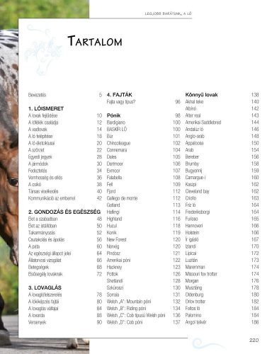 Legjobb barátunk, a ló